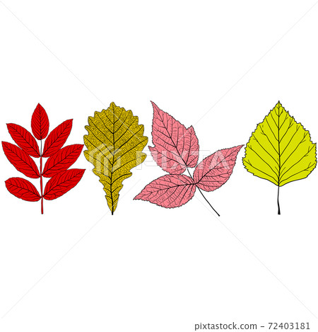 Set sketches silhouettes leaves on white background illustration Set sketches silhouettes leaves on white background illustration 72403181