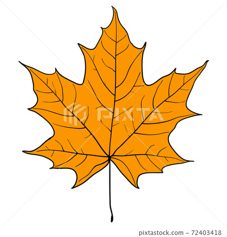 Sketches silhouettes leaves on white background illustration 72403418