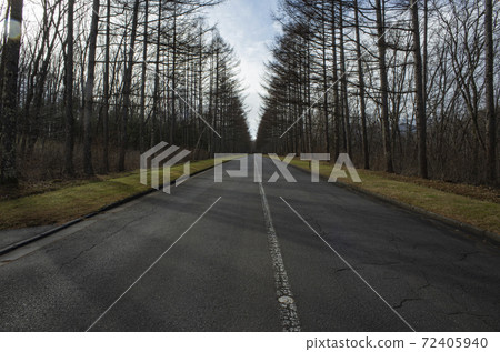 winter road 72405940