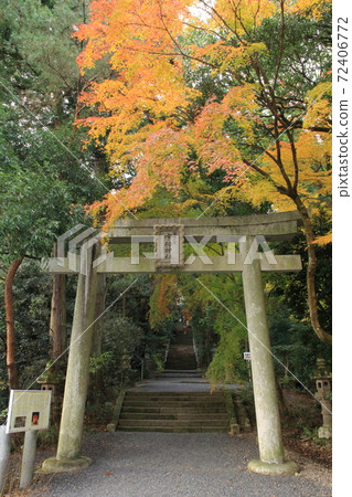 稻葉國一宮宇部神社 稻葉國一宮宇部神社 72406772