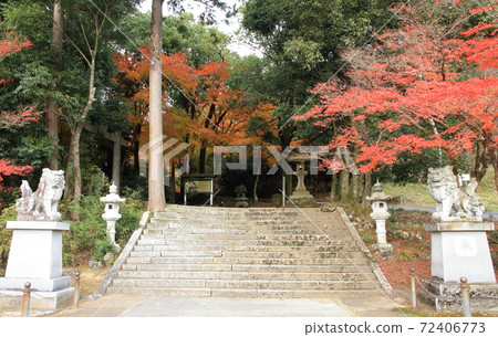 稻葉國一宮宇部神社 稻葉國一宮宇部神社 72406773