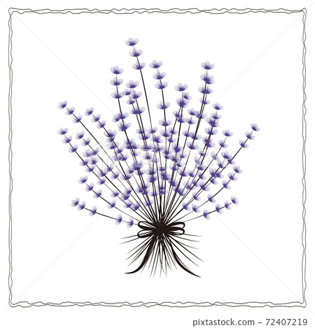 Botanical simple plant drawn in a circle Botanical simple plant drawn in a circle 72407219