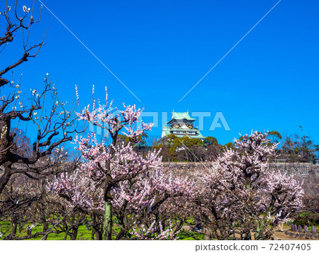 Osaka Castle and Bairin 72407405