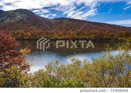 Suegawa湖秋葉 72408048
