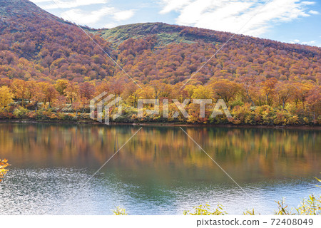 Autumn leaves of Suegawa Lake 72408049