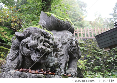 Togakushi Shrine Okusha's lion dogs, Nagano, power spot Togakushi Shrine Okusha's lion dogs, Nagano, power spot 72408116