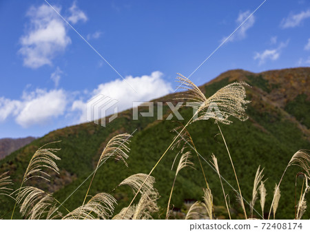 奧多摩的藍天 72408174