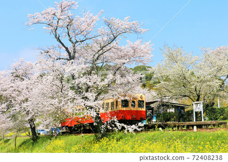 千葉Kosen鐵路在春天 千葉Kosen鐵路在春天 72408238
