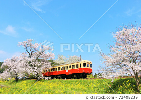 Chiba Kosen Railway in Spring 72408239
