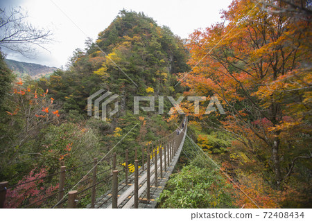 Momigi Suspension Bridge Autumn Leaves 72408434