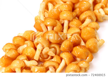 Nameko close-up 72408915