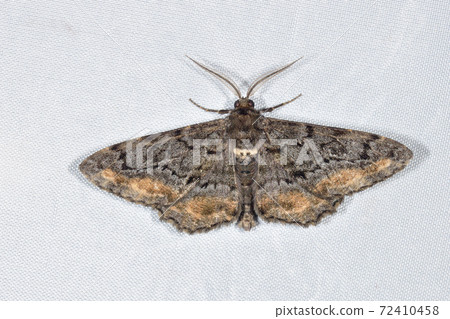 Kitown Monedashaku (Tsurui Village, Hokkaido) Kitown Monedashaku (Tsurui Village, Hokkaido) 72410458