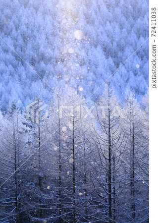 Diamond dust of Kirigamine plateau 72411038