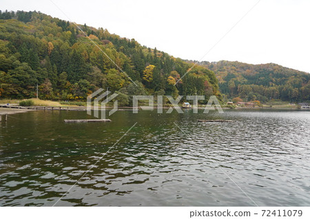 以諾曼象化石而聞名的野ji湖中秋 72411079