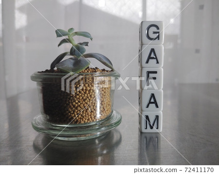 Dice letters and plants lined up with GAFAM in bright sunlight 2 Dice letters and plants lined up with GAFAM in bright sunlight 2 72411170