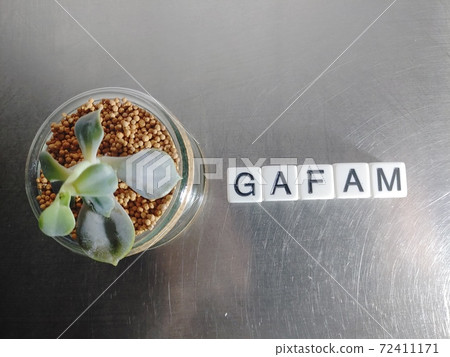在明亮的陽光下,用GAFAM排列的骰子字母和植物3 在明亮的陽光下,用GAFAM排列的骰子字母和植物3 72411171
