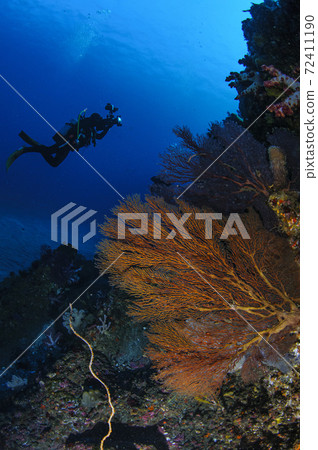 畜欄和潛水員 72411190
