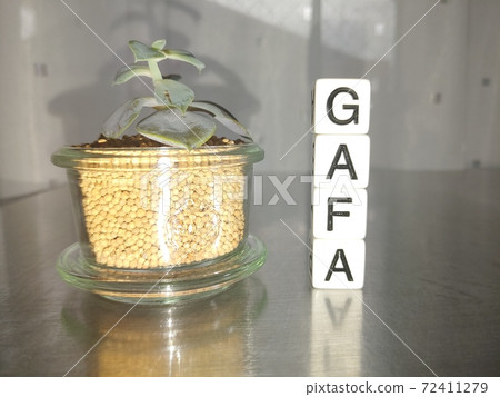 在明亮的陽光下,用GAFA排列的骰子字母和植物1 在明亮的陽光下,用GAFA排列的骰子字母和植物1 72411279
