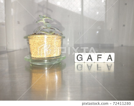 Dice letters and plants lined up with GAFA in bright sunlight 2 Dice letters and plants lined up with GAFA in bright sunlight 2 72411280