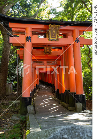 Fushimi Inari Taisha Shrine in Kyoto in October and November 72411346