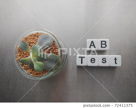 在明亮的陽光下用AB測試排列的骰子字母和植物1 在明亮的陽光下用AB測試排列的骰子字母和植物1 72411375