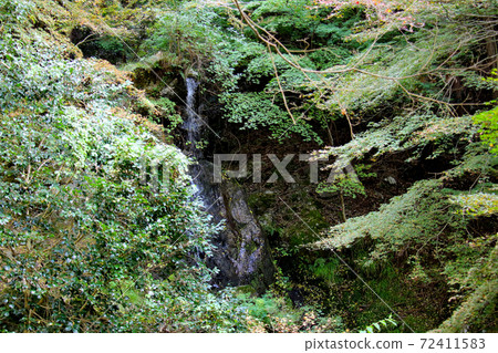 Immovable waterfall that runs down the mountain skirt of Kanegasaka Park in Kanegasaka, Tamba City Immovable waterfall that runs down the mountain skirt of Kanegasaka Park in Kanegasaka, Tamba City 72411583
