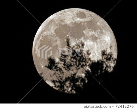 Silhouette of a tree branch on a full moon rising from a satoyama 72412276