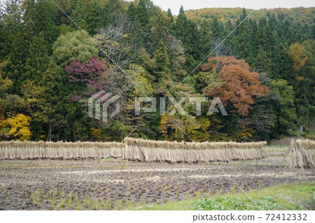 A village on the shores of Lake Nojiri, famous for the fossils of the Naumann elephant A village on the shores of Lake Nojiri, famous for the fossils of the Naumann elephant 72412332