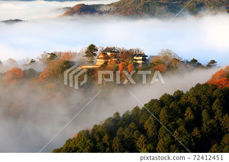 山城在天空5661- 山城在天空5661- 72412451