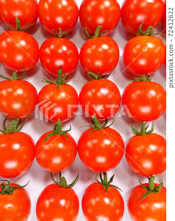 Tomato mini tomato Tomato mini tomato 72412622