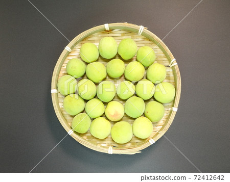 Ume Ume Ume 72412642