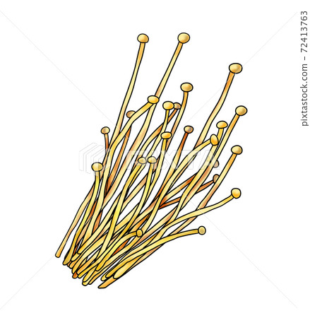 Vegetable enoki ② (with main line) Can also be used for hot pots, bento boxes, and cooking images Combination series Vegetable enoki ② (with main line) Can also be used for hot pots, bento boxes, and cooking images Combination series 72413763