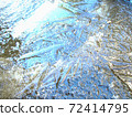 Frozen puddle 72414795