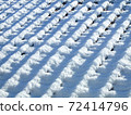 Snow on the tiles 72414796