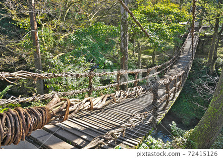 [Kazura Bridge] Doaisarao, Ikeda-cho, Imadate-gun, Fukui Prefecture 72415126