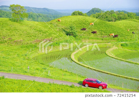 驅動圖像:熊本縣出產的山村中的Ogitanada 驅動圖像:熊本縣出產的山村中的Ogitanada 72415254