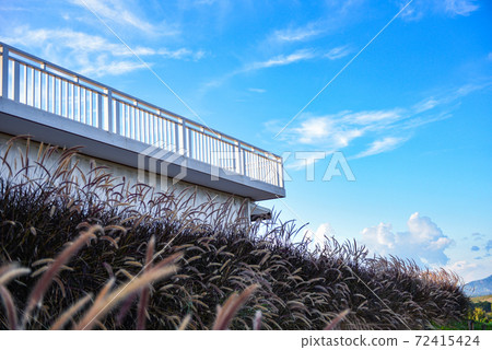 balcony view with flowers grass and blue sky background, nature terrace view on mountain beautiful sky outdoors. balcony view with flowers grass and blue sky background, nature terrace view on mountain beautiful sky outdoors. 72415424