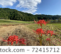 天空，山脈，稻田和Higanbana 72415712