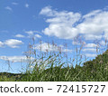 享受天空，高山和草地自然 72415727