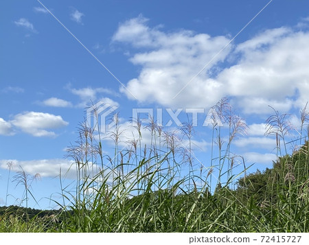 享受天空，高山和草地自然 72415727
