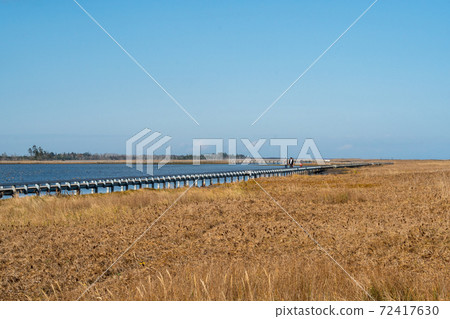 根室市長市春一市野生鳥類公園長廊 72417630