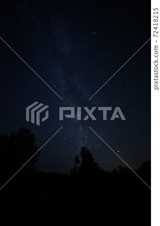 The Milky Way and the stars over the trees in the forest The Milky Way and the stars over the trees in the forest 72418215