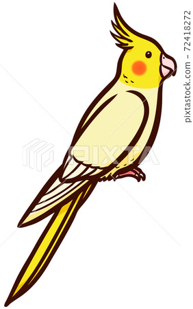 寵物鳥沖繩的插圖 72418272