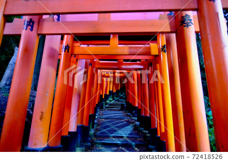 [Kyoto] Fushimi Inari Shrine 72418526