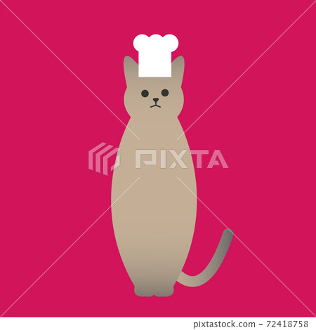 Illustration of a brown cat wearing a cock hat Sitting brown cat with chef hat Illustration of a brown cat wearing a cock hat Sitting brown cat with chef hat 72418758
