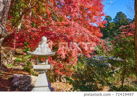 Stone lantern and autumn leaves Stone lantern and autumn leaves 72419497