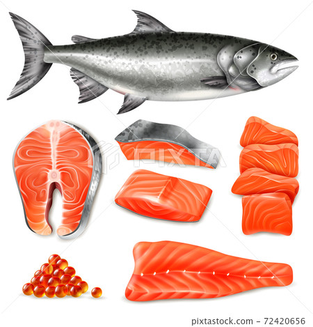 Realistic Salmon Set Realistic Salmon Set 72420656