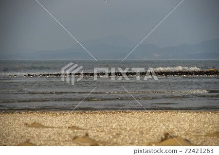 Plover, Yubudo, Chungnam 72421263