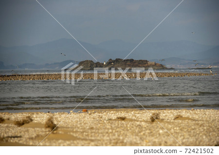 Plover, Yubudo, Chungnam 72421502