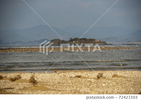 Plover, Yubudo, Chungnam 72421503